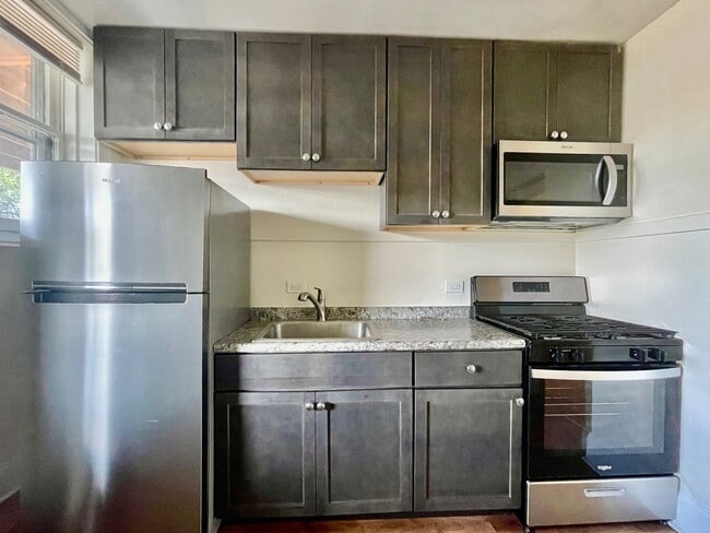 2536 W Thorndale Ave in Chicago, IL - Building Photo - Building Photo