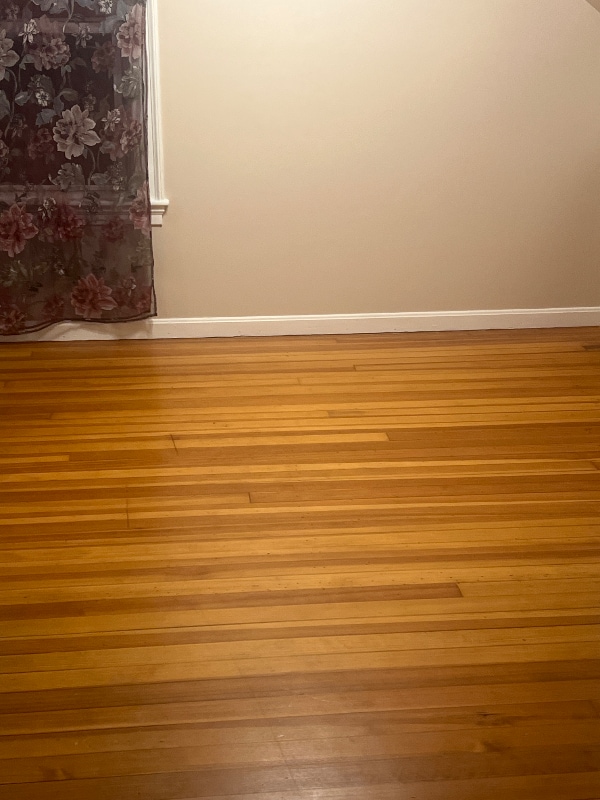 10 Osgood Ave in Lowell, MA - Foto de edificio - Building Photo