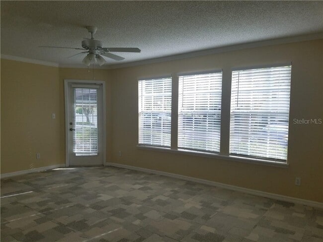 3301 Haviland Ct in Palm Harbor, FL - Building Photo - Building Photo