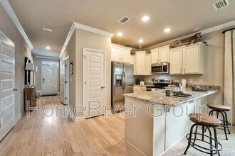9641 Nature Creek Blvd in Bellview, FL - Building Photo - Building Photo