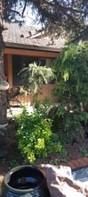 4303 Imperial Dr in West Linn, OR - Building Photo - Building Photo