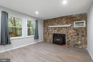 247 Marsden Hts Rd in Linden, VA - Building Photo