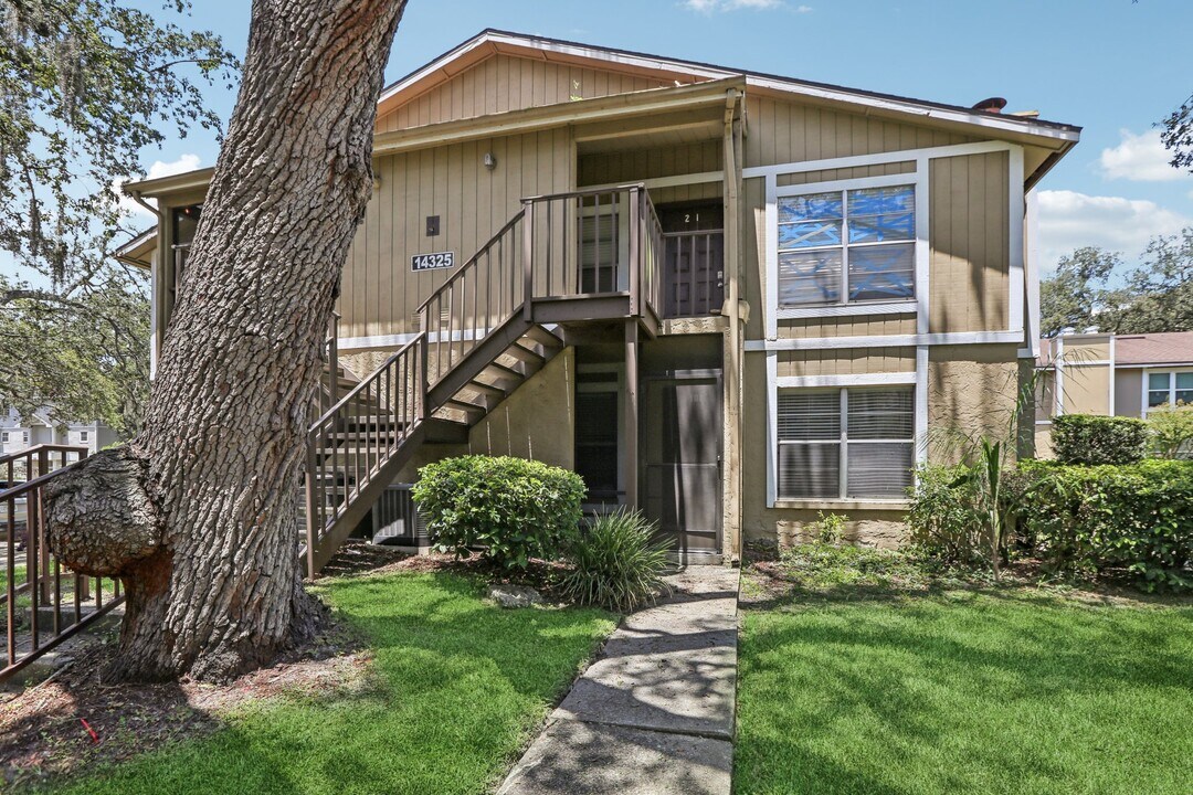14325 Hanging Moss Cir in Tampa, FL - Building Photo