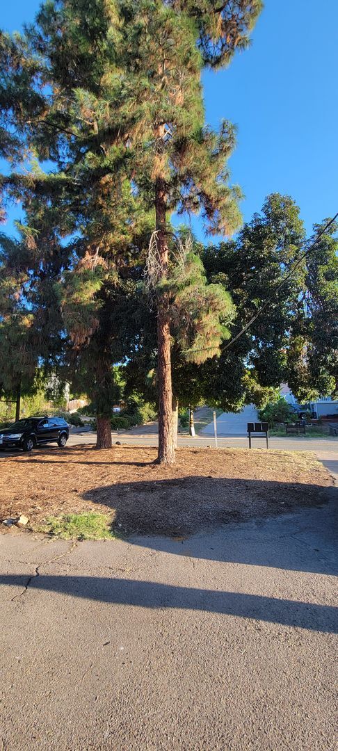 9144 Rosedale Dr in Spring Valley, CA - Building Photo - Building Photo