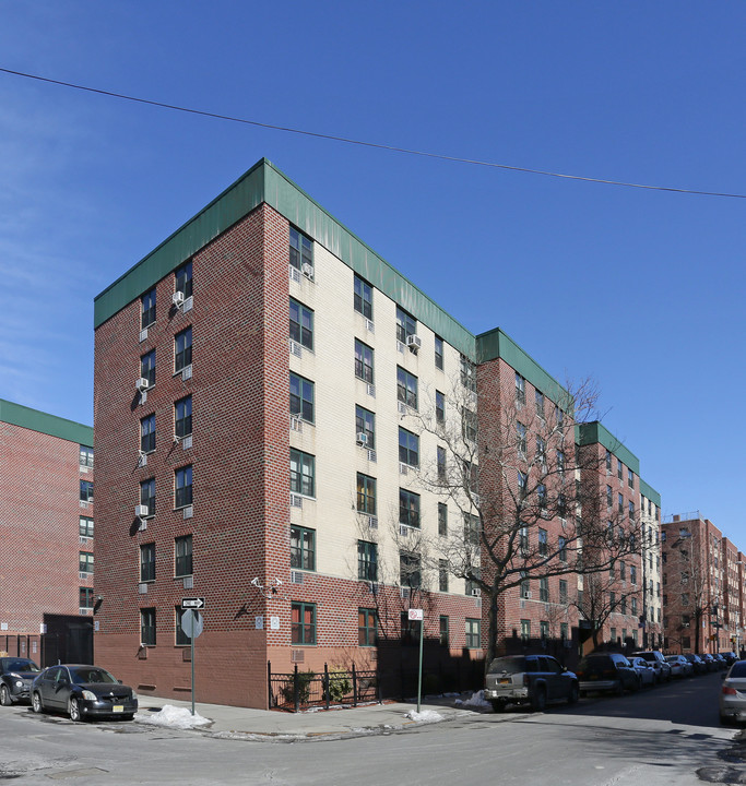 Remeeder Houses in Brooklyn, NY - Building Photo