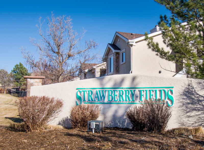 3690 Strawberry Field Grove in Colorado Springs, CO - Building Photo