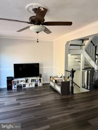 property at 59 Merino Ct