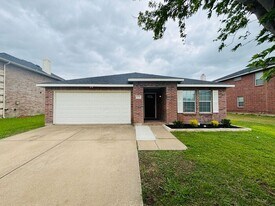 8119 Lost Canyon Trail in Arlington, TX - Building Photo