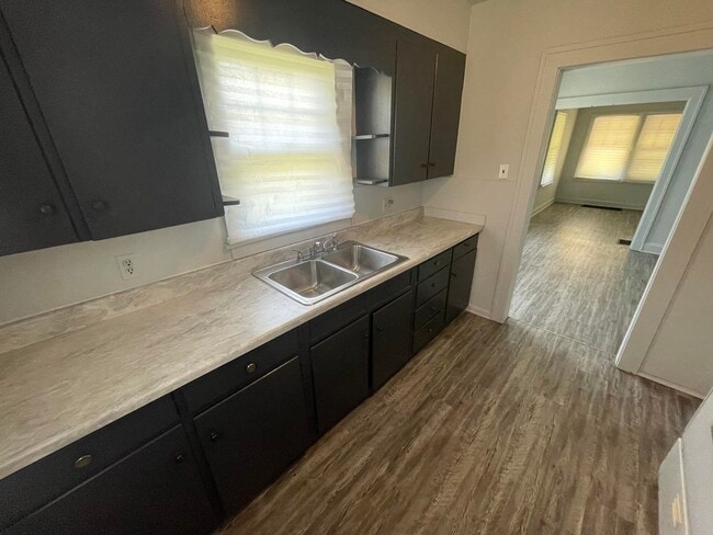 1207 Cleveland Ave in Danville, IL - Building Photo - Building Photo