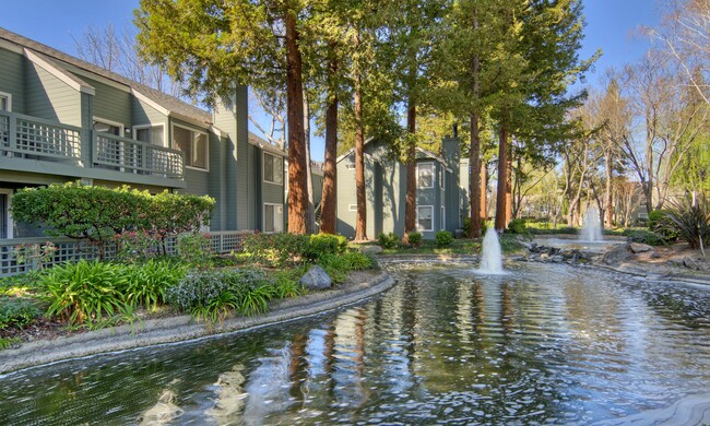 Wood Creek in Pleasant Hill, CA - Building Photo - Building Photo