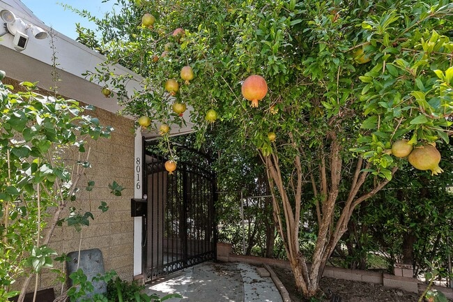 8016 Crosnoe Ave in Panorama City, CA - Foto de edificio - Building Photo