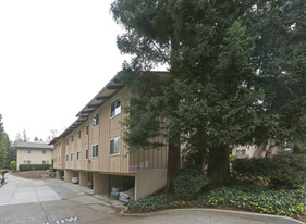 Sylvan Square Apartments in Mountain View, CA - Building Photo - Building Photo