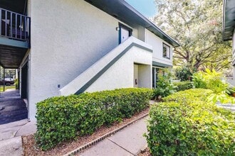 2904 Lichen Ln in Clearwater, FL - Building Photo - Building Photo