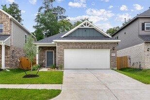 10216 Badger Run Ln in Magnolia, TX - Building Photo
