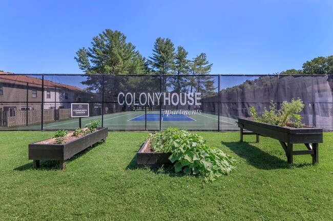 Colony House