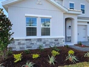 11357 Satire St in Orlando, FL - Building Photo - Building Photo