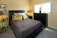 Sereno Townhomes photo'