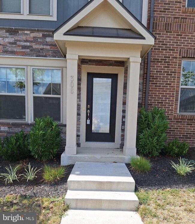306 Bodega Ter SE in Leesburg, VA - Building Photo - Building Photo