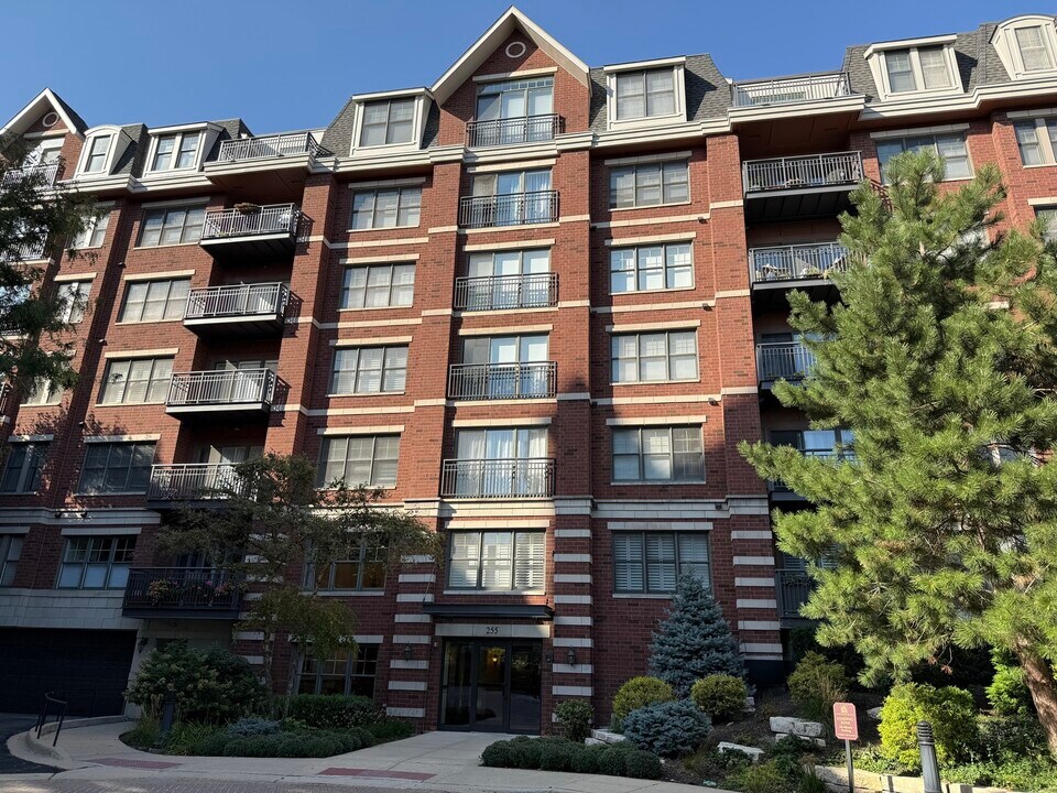 255 E Liberty Dr in Wheaton, IL - Building Photo