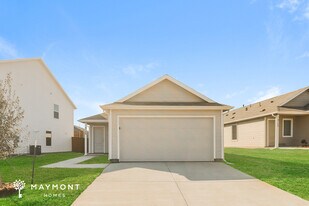 3149 Burmese St in Providence Village, TX - Building Photo