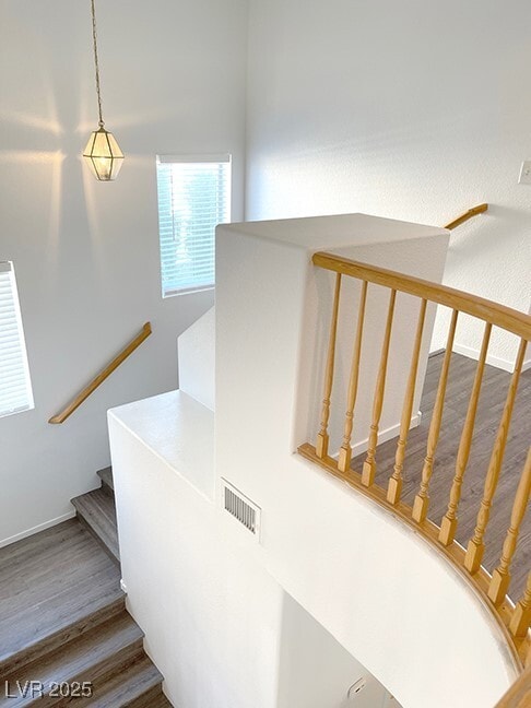 property at 4638 San Vito St