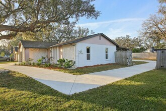3911 King Dr in Brandon, FL - Foto de edificio - Building Photo