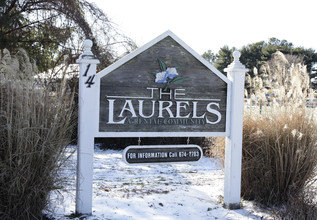 The Laurels in Dover, DE - Building Photo - Building Photo