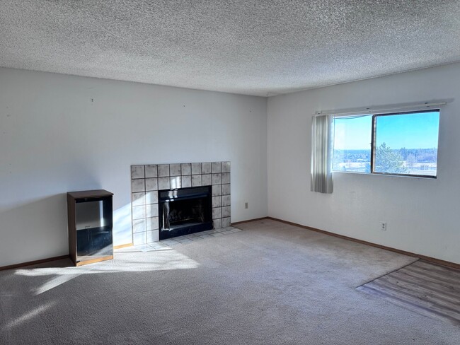 2436-2436 Allegheny Dr in Colorado Springs, CO - Building Photo - Building Photo