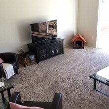 Beautiful 4-Bedroom Home South Fort Collins! in Fort Collins, CO - Building Photo - Building Photo