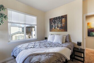 3170 Levante St in Carlsbad, CA - Building Photo - Building Photo