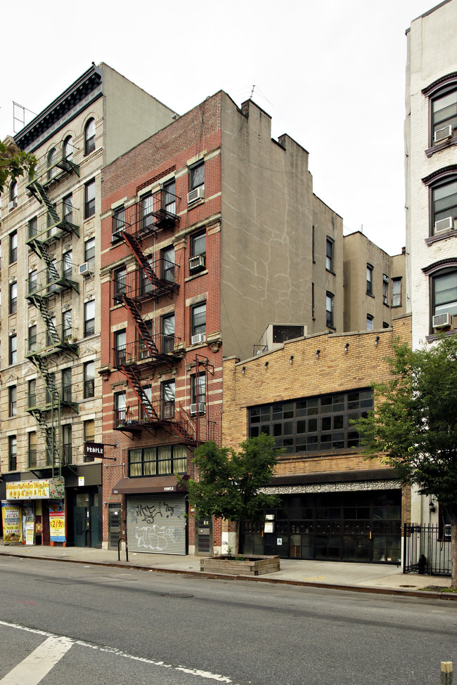 163 Allen St in New York, NY - Foto de edificio - Building Photo