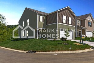 702 Newtons Wy in Kingsport, TN - Building Photo