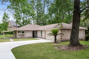24518 Pine Canyon Dr in Spring, TX - Building Photo