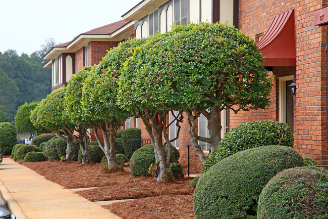 Windsor Apartments in Albany, GA - Building Photo - Building Photo