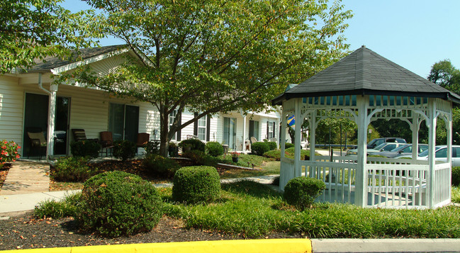 Dunlop Farms Senior Apartments 55+ in Colonial Heights, VA - Building Photo - Building Photo