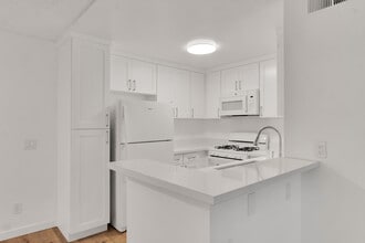 22415 Del Valle St in Woodland Hills, CA - Foto de edificio - Building Photo