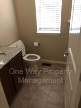 242 Saratoga Dr in Windsor, CO - Building Photo - Building Photo
