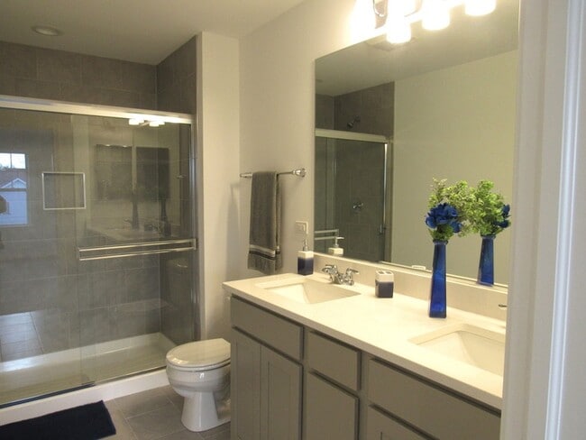 202 Timberleaf Cir in Roselle, IL - Foto de edificio - Building Photo