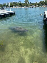 30 SE Valare Ln, Unit 202B in Crystal River, FL - Building Photo - Building Photo