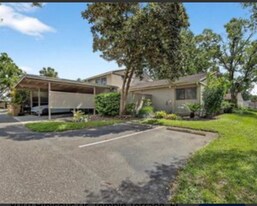 8001 Hibiscus Dr in Tampa, FL - Building Photo