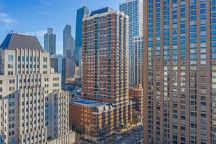 1133 North Dearborn in Chicago, IL - Building Photo