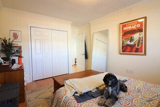 9 Sherman Rd, Unit 1 in Chestnut Hill, MA - Building Photo - Building Photo