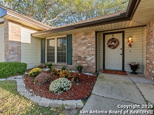 3620 Chestnut Ct in Schertz, TX - Building Photo - Building Photo