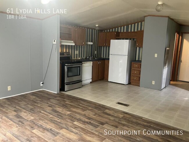 property at 61 Lydia Hills Ln