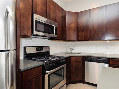 853 N Winchester Ave in Chicago, IL - Foto de edificio - Building Photo