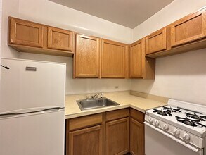 1169 N Dearborn St in Chicago, IL - Building Photo - Building Photo