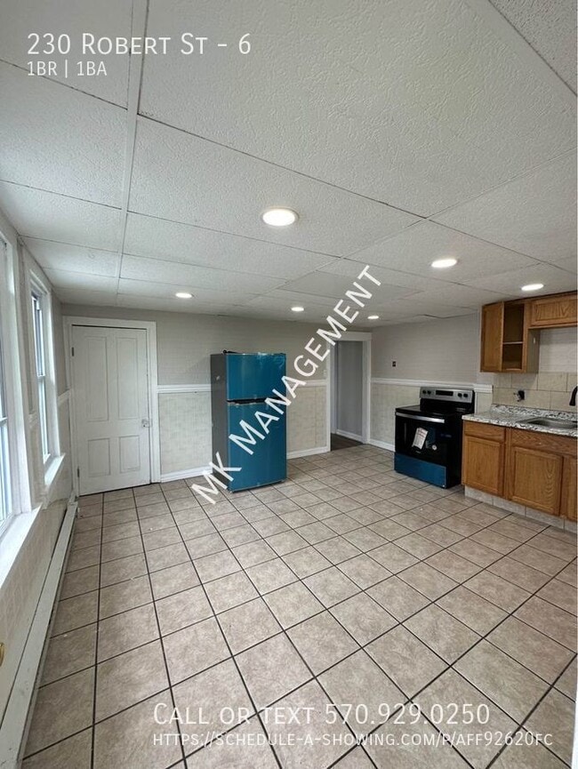 230 Robert St in Nanticoke, PA - Building Photo - Building Photo