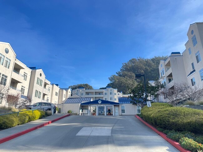 535 Pierce St in Albany, CA - Building Photo - Building Photo