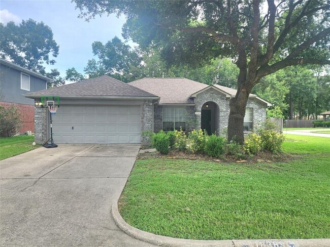 18389 Ten Oaks Ct in Porter, TX - Foto de edificio - Building Photo