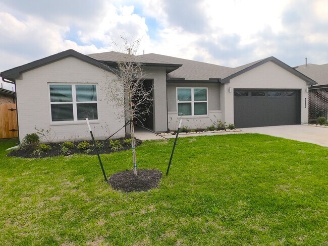 1119 Hyde Lk Ln in Missouri City, TX - Building Photo - Building Photo